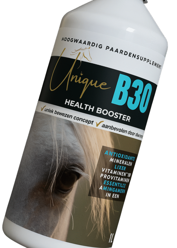 Unique B30 - Afbeelding 2