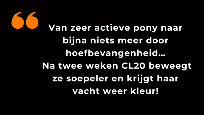 Eerste klantrecensie van Unique CL20 Balance Booster, paard beweegt soepeler en vacht krijgt meer kleur